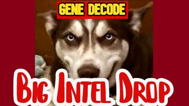 Gene Decode Big Intel 6.4.26 - Trump Gets NIGHTMARE News