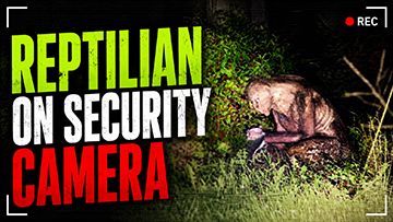 Reptilian Caught on Security Camera