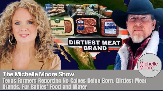 Dirtiest Meat Brands in the U.S., Your Fur Babies' Food & Water...What You Need To Know | The Michelle Moore Show (VIDEO)